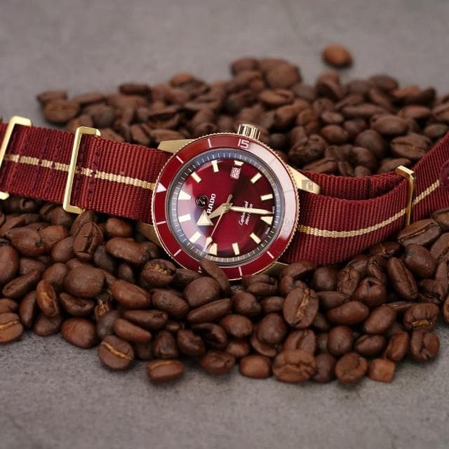 【Rado 雷達表 官方授權】庫克船長青銅自動機械錶-42mm R03推薦 送禮 禮物 推薦(R32504407)