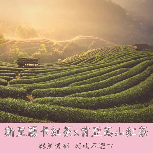 【High Tea】春映桃花紅茶2.5gx12入x1袋(日本白桃風味)