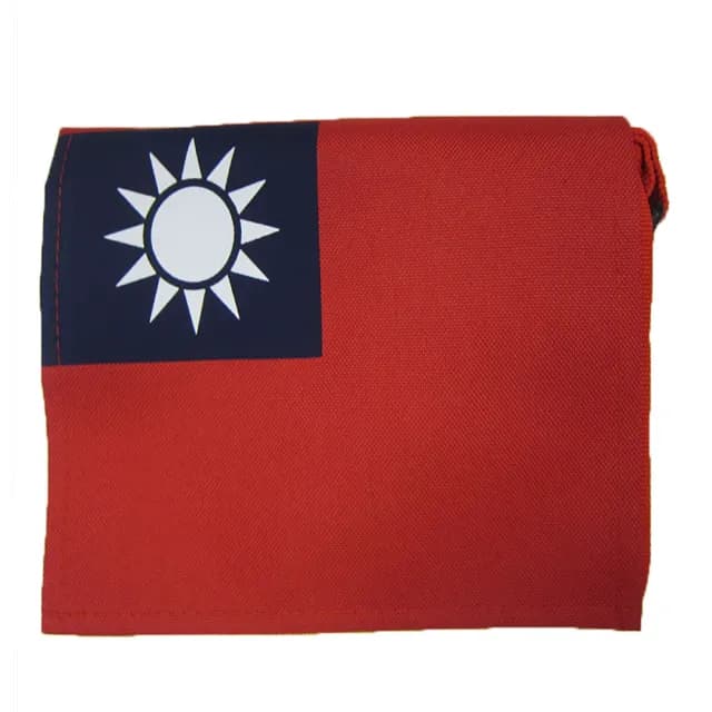 【SNOW.bagshop】情人節禮物 七夕 簡單式書包國旗小容量防水包 尼龍布上班休閒台灣製造品質保證加強車縫背 