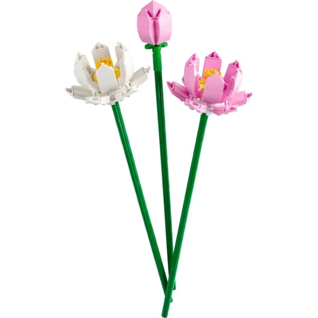 【LEGO 樂高】Botanicals 40647 蓮花(居家擺設 花束禮物 手工藝 母親節禮物)