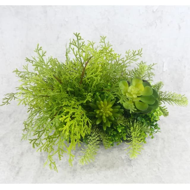 【HUGO DECO 榆果傢飾】高擬真蕨草多肉植物盆栽(擬真植物/禮物/綠化/永不凋零/佈置/蕨類)