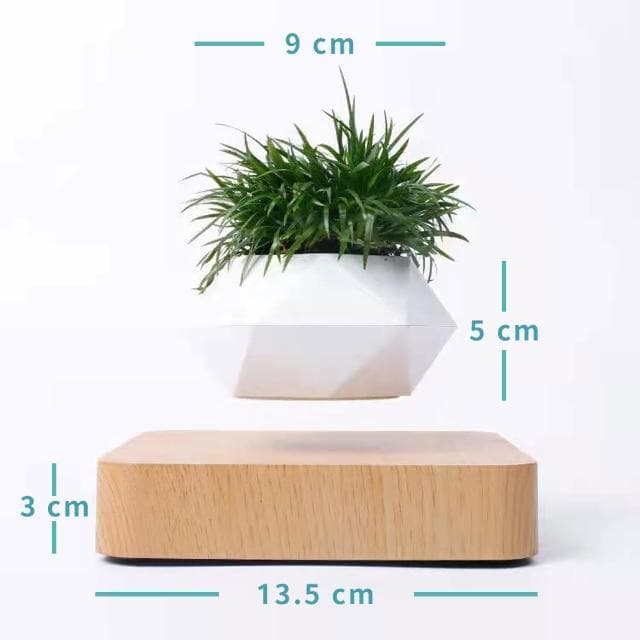 【神奇！懸空的植物擺飾】懸浮盆栽(磁浮 植栽 布置 花盆 觀葉 造景 送禮 交換禮物 入厝禮 多肉)