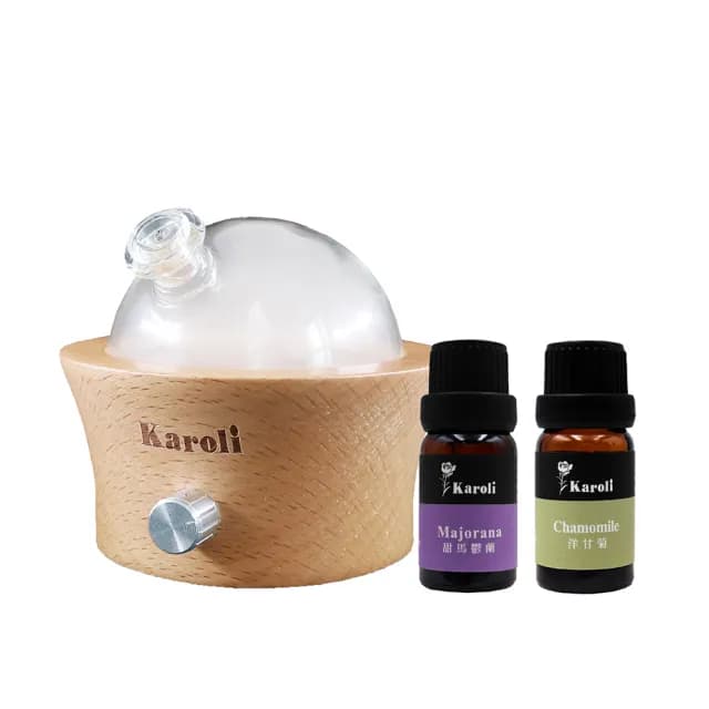【Karoli 卡蘿萊】旭日東昇淨化療癒小擴香儀(精油擴香器/淨化空氣/居家淨化香氛/自我防護)