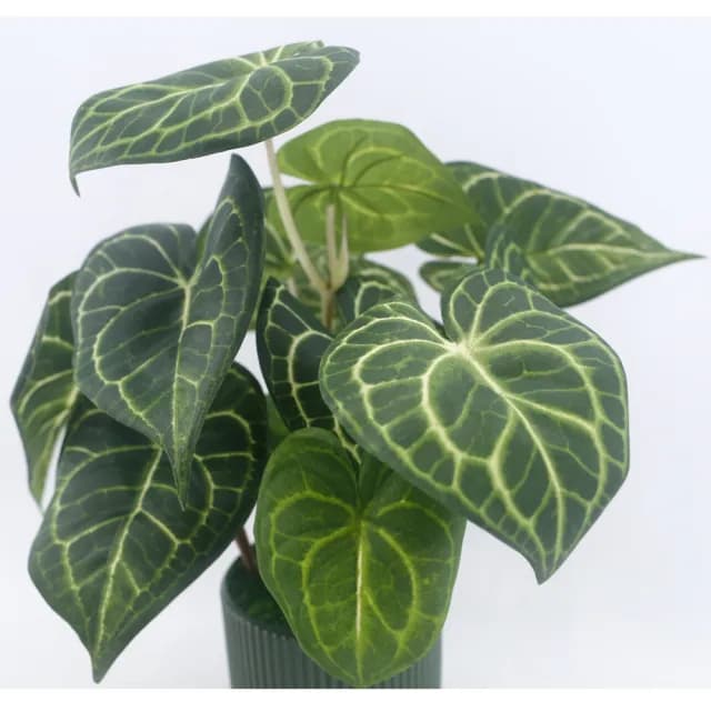 【HUGO DECO 榆果傢飾】高擬真水晶火燭葉盆栽(仿真植物/觀葉盆栽/人造植物/綠化/佈置)