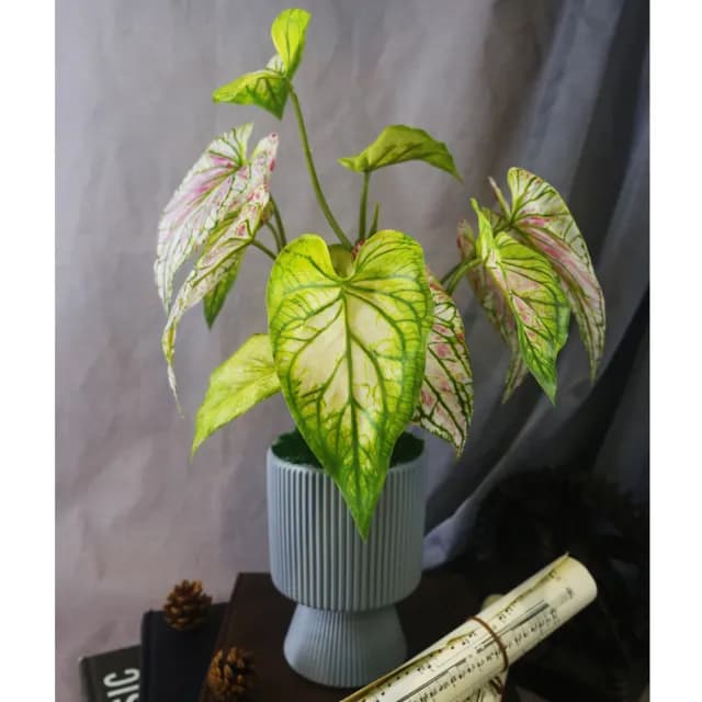 【HUGO DECO 榆果傢飾】高擬真彩芋葉盆栽(仿真植物/觀葉盆栽/人造植物/綠化/佈置)