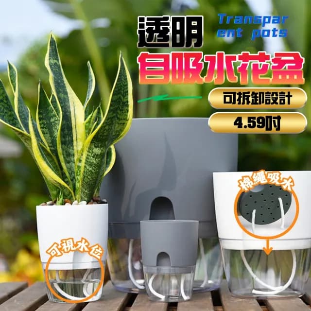 【京太陽】透明自吸水花盆(懶人花盆 棉繩自動吸水 吸水花盆 透明花盆 盆栽 植物花盆)