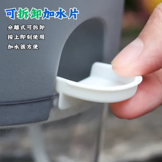 【品屋】透明自吸水花盆2.46吋A703(懶人花盆 自動澆水 吸水花盆 透明花盆 盆栽 植物花盆)