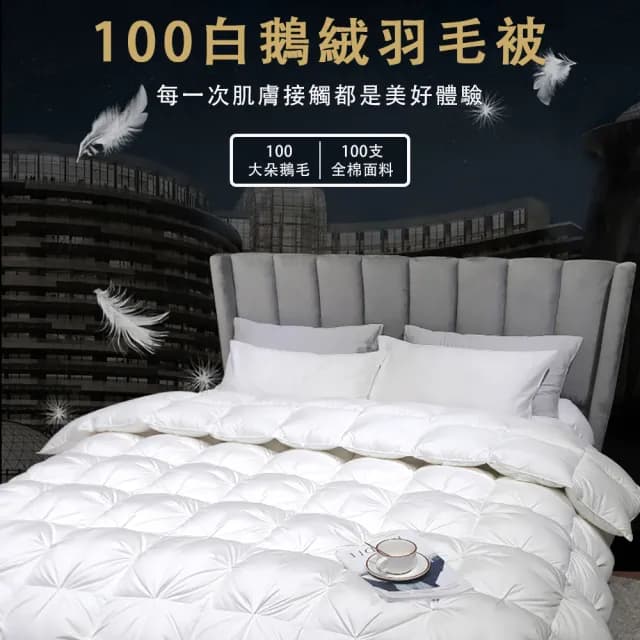 冬季加厚保暖羽絨被 柔軟靜音 蓬鬆透氣(羽絨被 鵝絨被 棉被 春秋被 冬被 被芯)