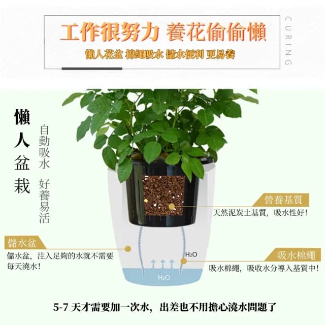 【京太陽】綠蘿花盆黑白色(植物盆 陽台花盆 盆栽 自動澆水花盆)