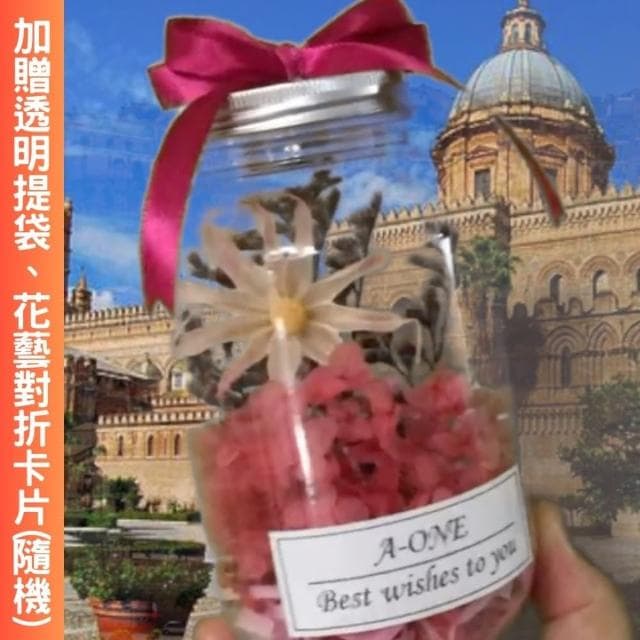 【A-ONE 匯旺】迷你花束 粉雛菊 珠光乾燥花 燈瓶 花束禮物 擺飾 情人節 生日 畢業 婚禮小物 情人節禮物