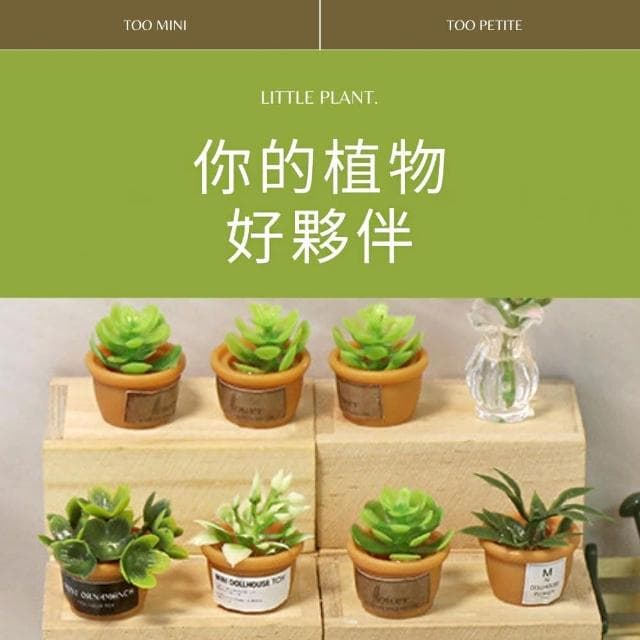 【盆肉】模型微縮迷你仿真盆栽-4件套(仿真植栽 造景擺飾多肉植物 可愛 小物 桌面擺設 微景觀 辦公室)