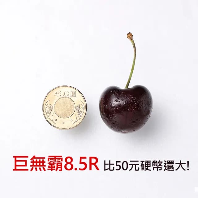 【WANG 蔬果】巨無霸!美國華盛頓8.5R櫻桃1.5kgx1盒(1.5Kg/禮盒 加大不加價 中秋禮盒)