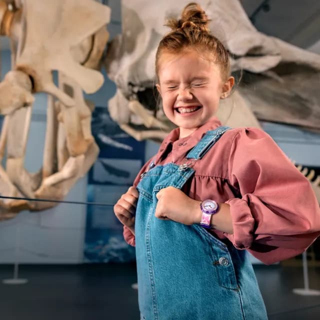 【Flik Flak】兒童手錶 DINOLOGY /靜音無秒針/兒童禮物/安全防水/瑞士製造 FBNP230(31.85mm)