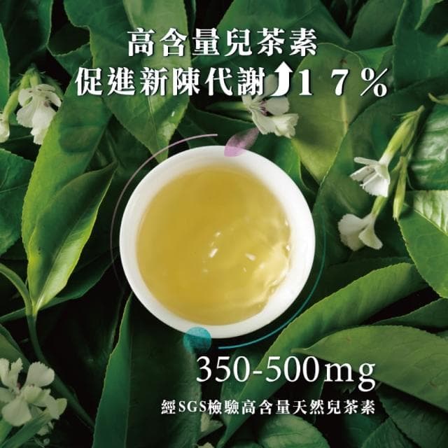 【發現茶】兒茶素青茶X4盒、甜白花香、促進新陳代謝、30秒冷泡茶(6gx30入/盒 茶包)