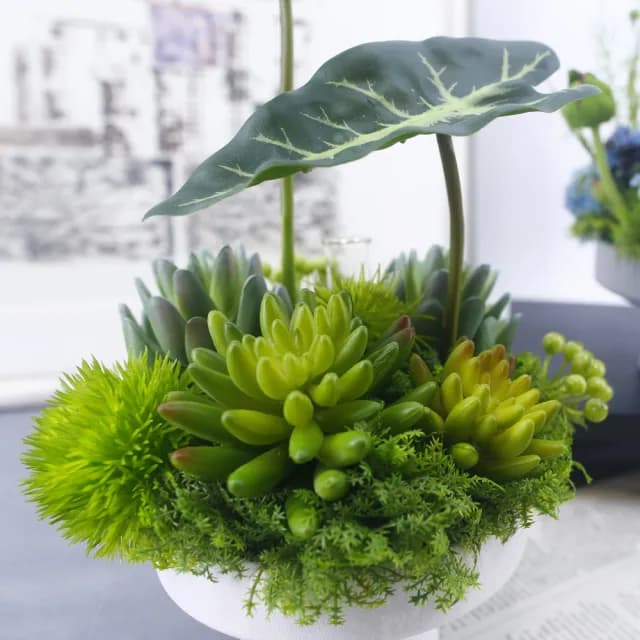 【HUGO DECO 榆果傢飾】觀音蓮葉多肉香氛植栽(擬真植物/人造盆栽/綠化/佈置)