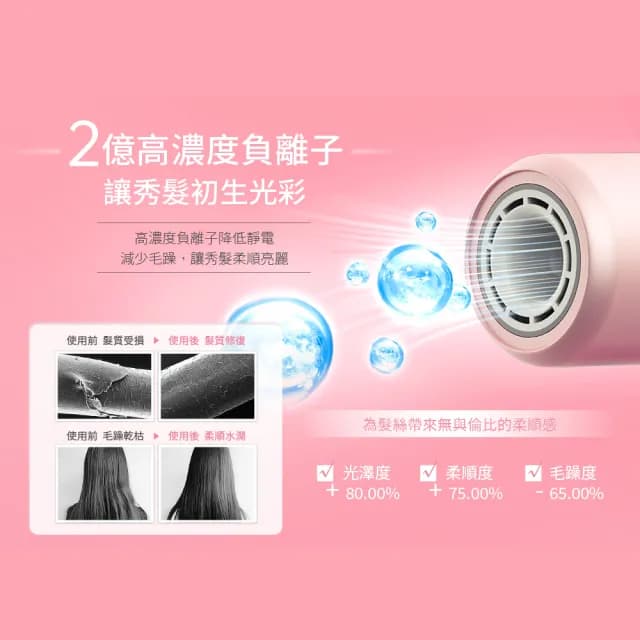 【WHALL】專業負離子吹風機WD-901(共二色)