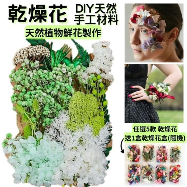 【A-ONE 匯旺】天然乾燥花 壓花 押花滿天星 不凋花 送禮花束 畢業花束 生日禮物居家擺設(C14)