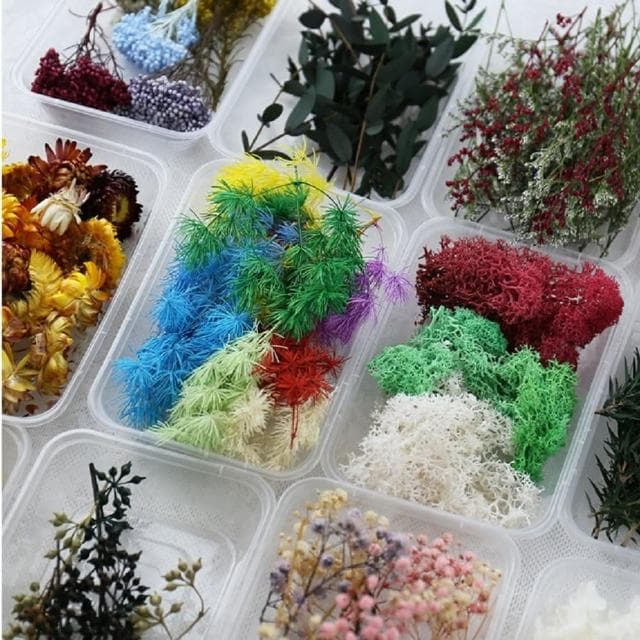 【A-ONE 匯旺】天然乾燥花 壓花 押花滿天星 不凋花 送禮花束 畢業花束 生日禮物居家擺設(C14)