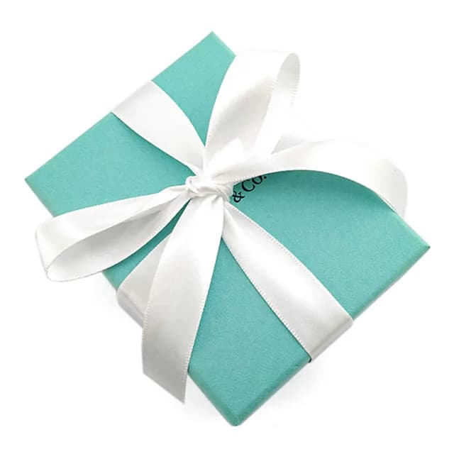 【Tiffany&Co. 蒂芙尼】1837系列925純銀圓戒墜飾項鍊