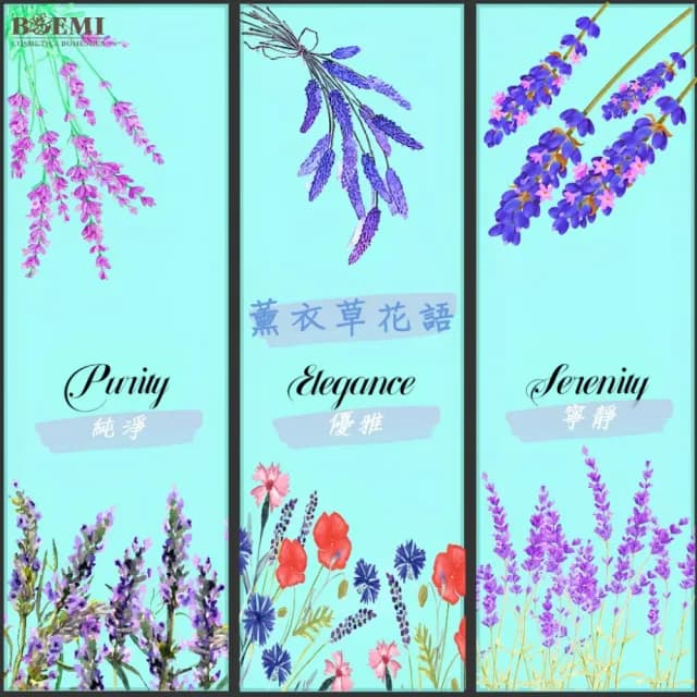 【BOEMI】花吻萃戀普羅旺斯薰衣草植萃皂200g(來自捷克頂級植萃保養潤膚手工香皂禮盒)