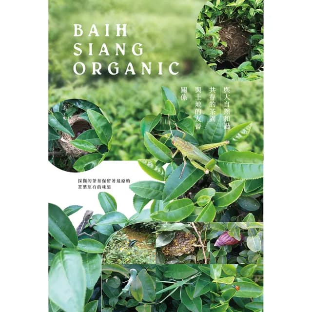 【百香】綠茶三角立體茶包3gx16入 1罐 自然農法 茶包(100%台灣茶 百香茶葉 綠茶 茶包 年節送禮)