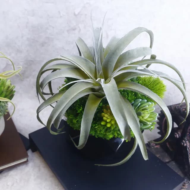 【HUGO DECO 榆果傢飾】灰綠空氣鳳梨多肉植栽(擬真植物/禮物/綠化/永不凋零/佈置/人造植栽)