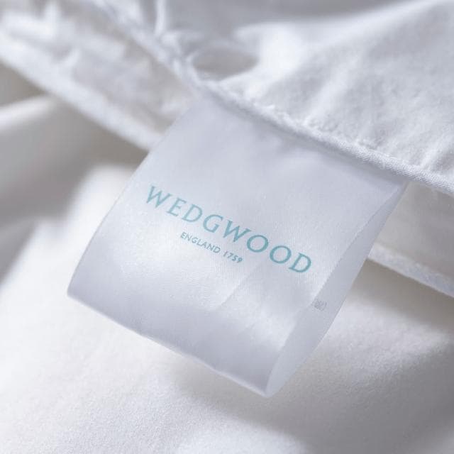 【WEDGWOOD】80/20雅品白鴨絨 抗菌羽絨舒眠被(雙人180x210cm)