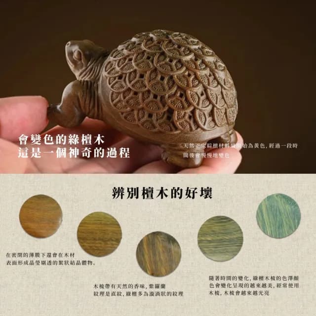 【文玩家居】綠檀木雕金錢龜招財風水擺件(實木 招財 開運 長壽龜 聚福 開店 開業 辦公室 除舊佈新 禮物)