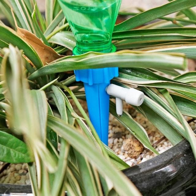 【心花開】自動可調節水流澆花器-6入組(滴水器 家用澆水器 多肉 園藝用品 植物盆栽 灑水 懶人澆水工具)