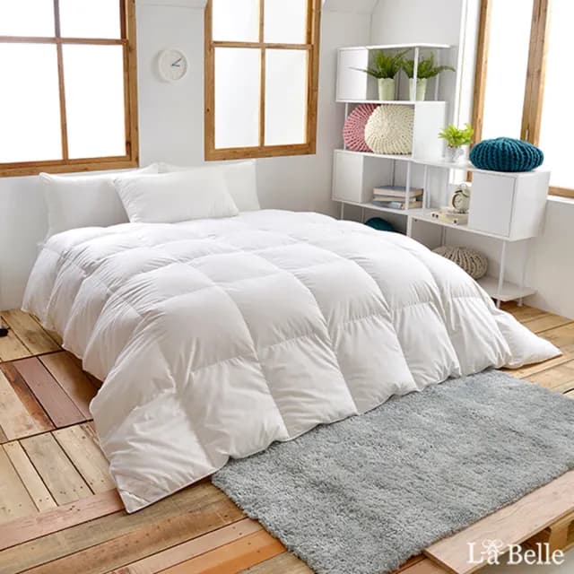 【Great Living 格蕾寢飾】La Belle 95/5波蘭可水洗無重力羽絨四季被290g(特大 240x210cm)