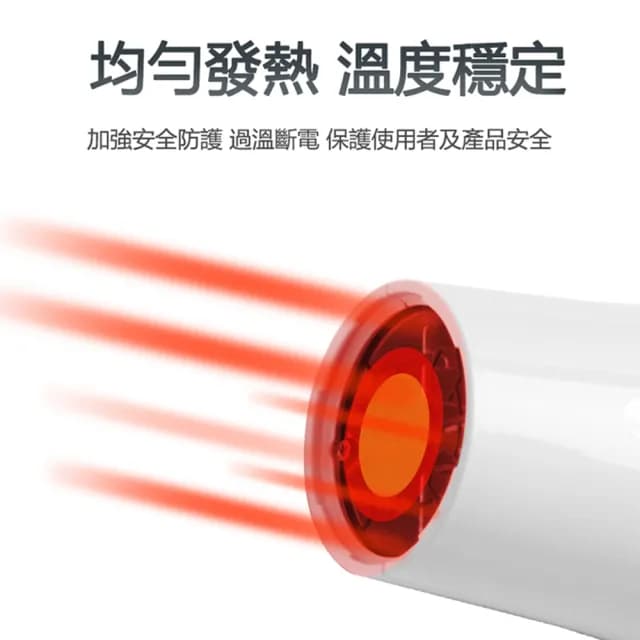 【達新牌】銀離子抗菌掛壁式吹風機(TS-1699P)