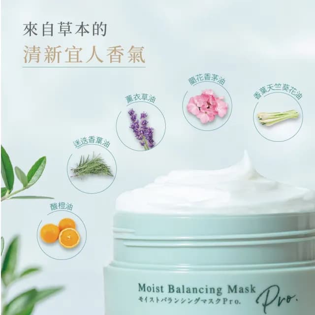 【Bb LABORATORIES】奇肌復活草保濕平衡面膜175g(清爽保濕 平衡肌膚 敏感肌可用 塗抹式 日本 SPA保養品)