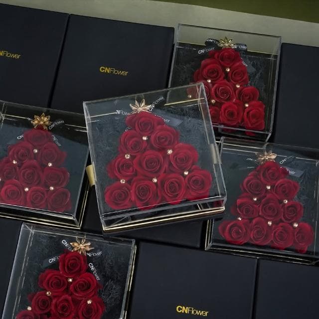 【CNFlower 西恩】ROSY CHRISTMAS TREE-灰棕 恆星花禮(送禮推薦/永生花/浪漫/驚喜/聖誕限定)