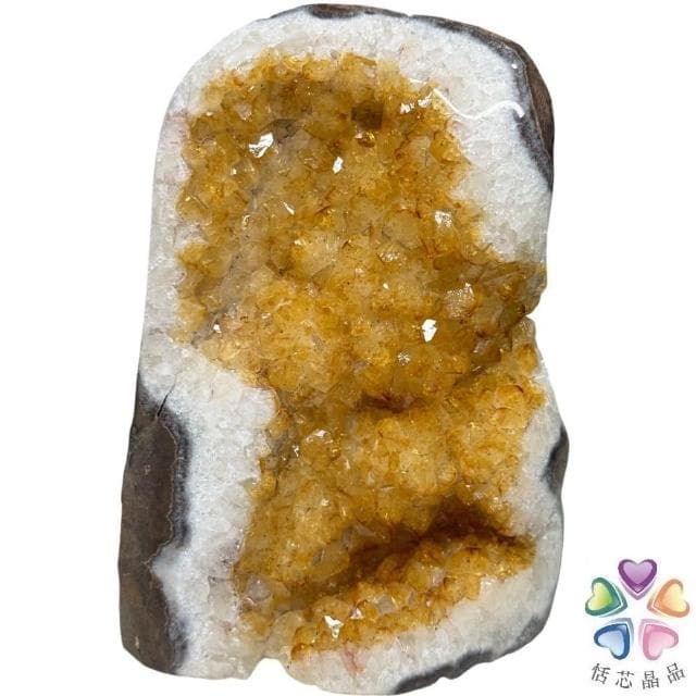 【恬芯晶品】Y2頂級烏拉圭黃水晶開運招財(辦公室消磁淨化風水財運財位招貴人紫晶鎮禮物補財庫)