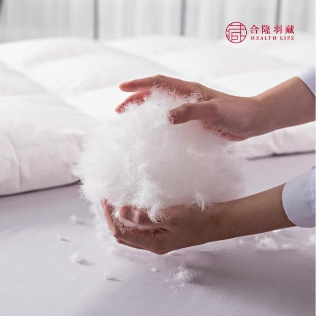 【合隆羽藏】CAS台灣原產75%白鴨絨被｜中保暖｜雙人(棉被)