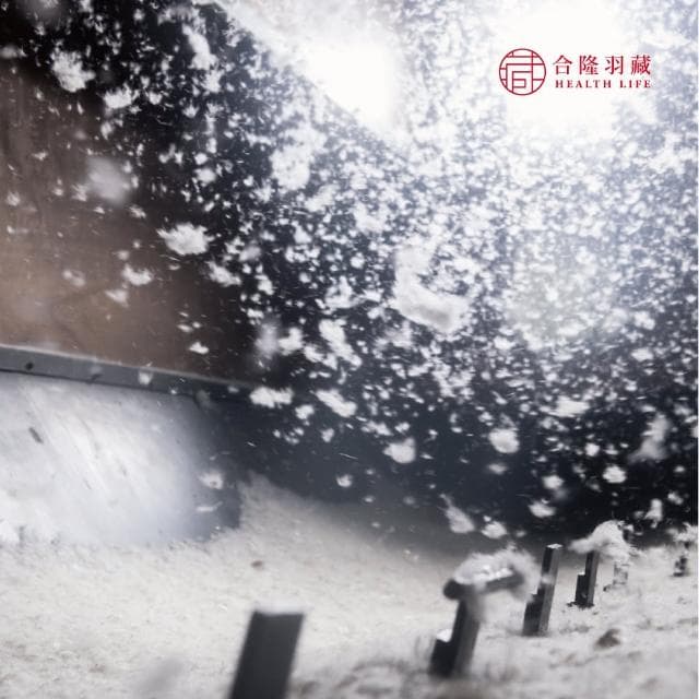 【合隆羽藏】CAS台灣原產75%白鴨絨被｜中保暖｜雙人(棉被)