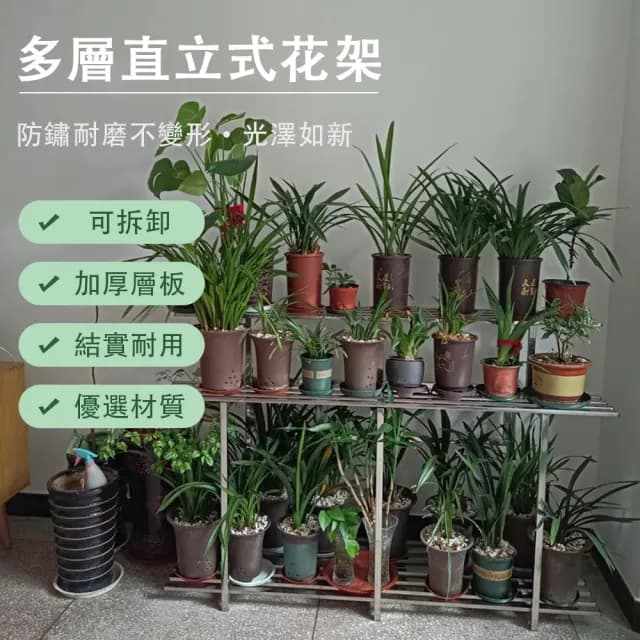 【蔓斯菲爾】直立款不鏽鋼花架 園藝花盆架 種草莓種菜植物架 盆栽架 加厚方管置物架(防水防鏽三層100CM)