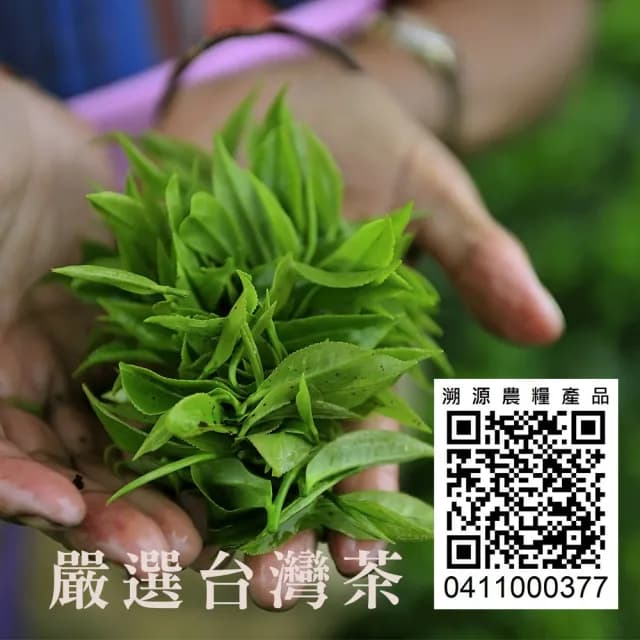 【古典玫瑰園】杉林溪輕焙烏龍茶立體茶包30入(精選台灣茶)