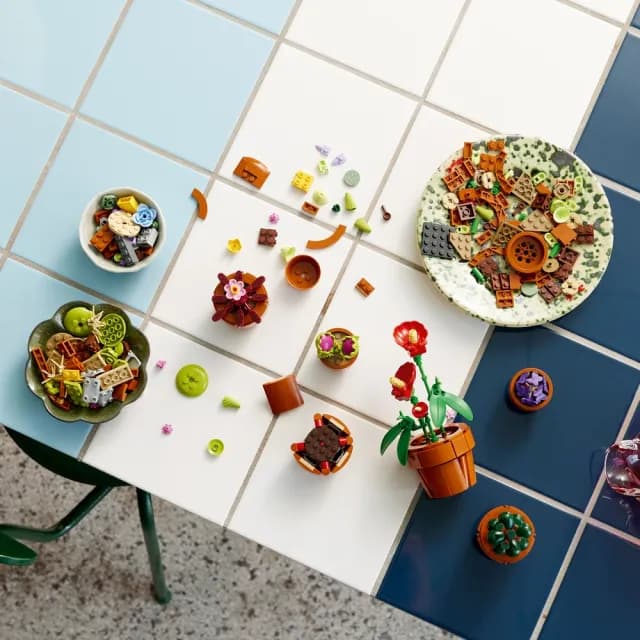 【LEGO 樂高】Botanicals 10329 迷你盆栽(居家擺飾 禮物 DIY 玩具 積木 情人節禮物)