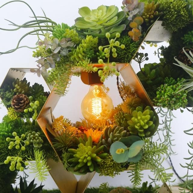【HUGO DECO 榆果傢飾】獨家設計原野生態植物燈飾 免運專人配送限雙北市(擬真植栽/佈置/新居落成/送禮)