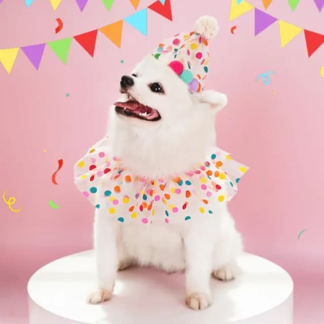 【快樂犬】寵物生日圍兜帽子套裝(派對 活動 毛孩 貓狗用品 圍脖 頭飾 彩球 多巴胺 拍照 道具 寫真 禮物)