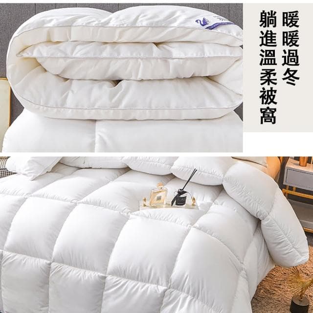 羽絲絨被 加厚被 冬被 羽絨被 防寒被 加厚被芯(蓋被 棉被 蓬松高彈 蓄熱保暖 200x200x230cm)