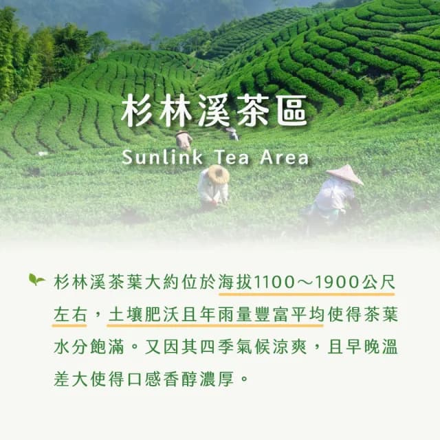 【茶曉得】杉林溪極品甘醇高山烏龍茶葉150gx10包(2.5斤 春茶)