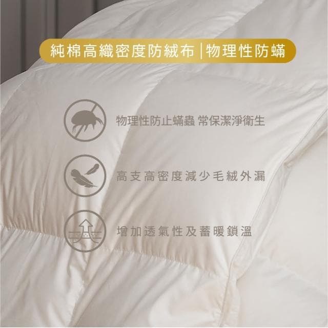 【1/3 A LIFE】五星級飯店款 JIS 90/10羽絨冬被(雙人6x7尺)