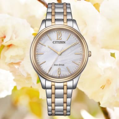 【CITIZEN 星辰】LADYS 光動能 日式簡約 女錶 母親節 送禮 禮物推薦(EM0416-78A)