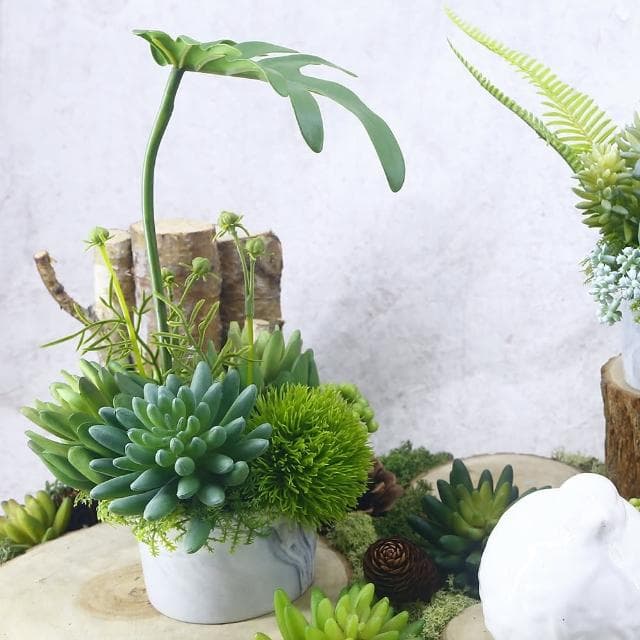 【HUGO DECO 榆果傢飾】春雨葉多肉草球香氛植栽(擬真植物/人造盆栽/綠化/佈置/禮物)