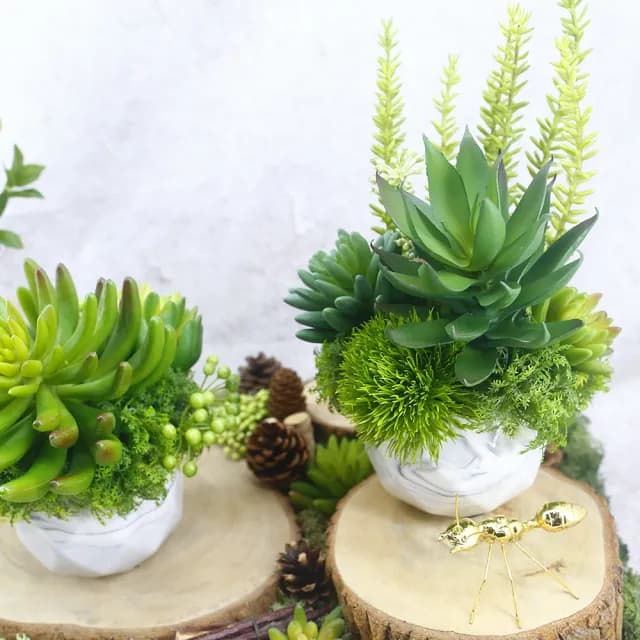 【HUGO DECO 榆果傢飾】蘆薈多肉組合香氛植栽(擬真植物/人造盆栽/綠化/佈置/禮物)