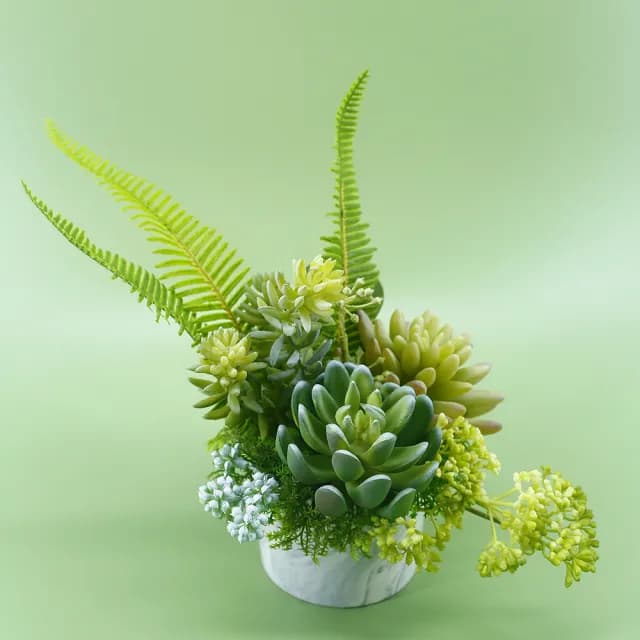 【HUGO DECO 榆果傢飾】羊齒蕨多肉組合香氛植物(擬真植物/人造盆栽/綠化/佈置/禮物)