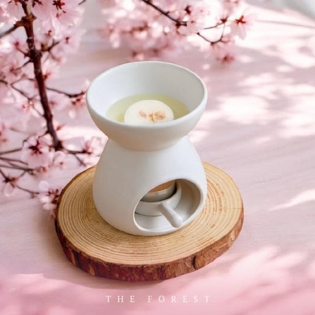 【The Forest 癒森林】春戀櫻花香氛蠟塊禮盒23g*4蠟塊+融蠟燭燈超值組(融蠟燈/融蠟爐/香氛蠟燭/居家香氛)