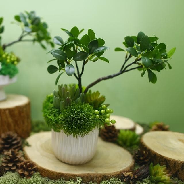 【HUGO DECO 榆果傢飾】榕樹下的禪學 綠植款香氛盆栽(擬真植物/人造盆栽/綠化/佈置/禮物)